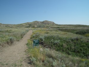 Eagle Butte is a 2km loop just inside Grasslands National Park.